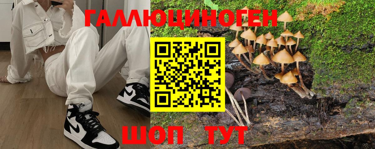 Псилоцибиновые грибы Magic Shrooms  Вход с VPN  Партизанск  Псилоцибиновые грибы GOLDEN TEACHER 